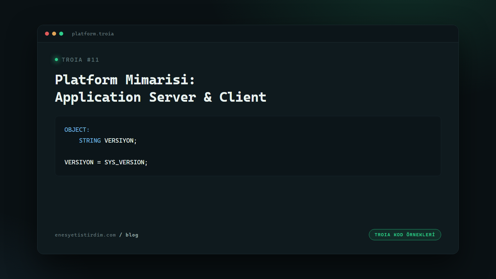TROIA Platformu Nasıl Çalışır: Application Server, Client ve RMI Registry