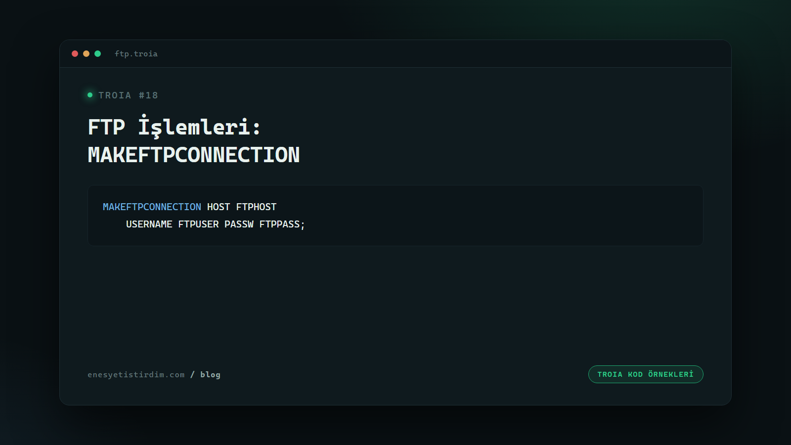 TROIA'da FTP İşlemleri: MAKEFTPCONNECTION, FTPDOWNLOAD ve Hata Yönetimi