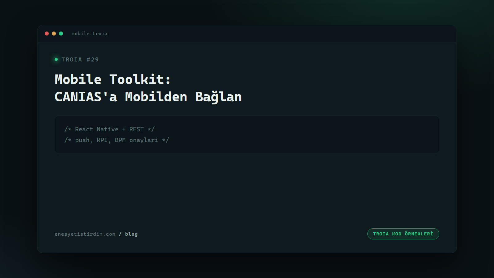 TROIA'da Mobile Toolkit: CANIAS'a Mobilden Bağlanmak